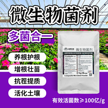 �ݲ�ѿ�ߗU������ľù΢��������r�ø�����������������ЙC����