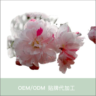 �S��؛ԴС�^�G��ֲ����҄e��ͥԺ�ҽ��⹫�@�L���䞢�����