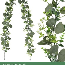 �ٗl�Gɫֲ���ٗl��֦���~�ܵ��b��ړ��Gֲ�b���������