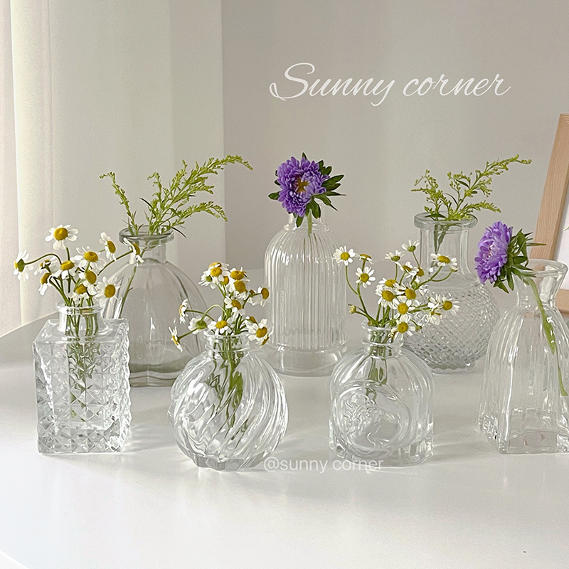 Embossed Glass Small Vase Transparent Hydroponic Flower Arrangement Desktop Decoration Ornament Floral Art Dried Flower Pot Fresh Flowers Green Plants