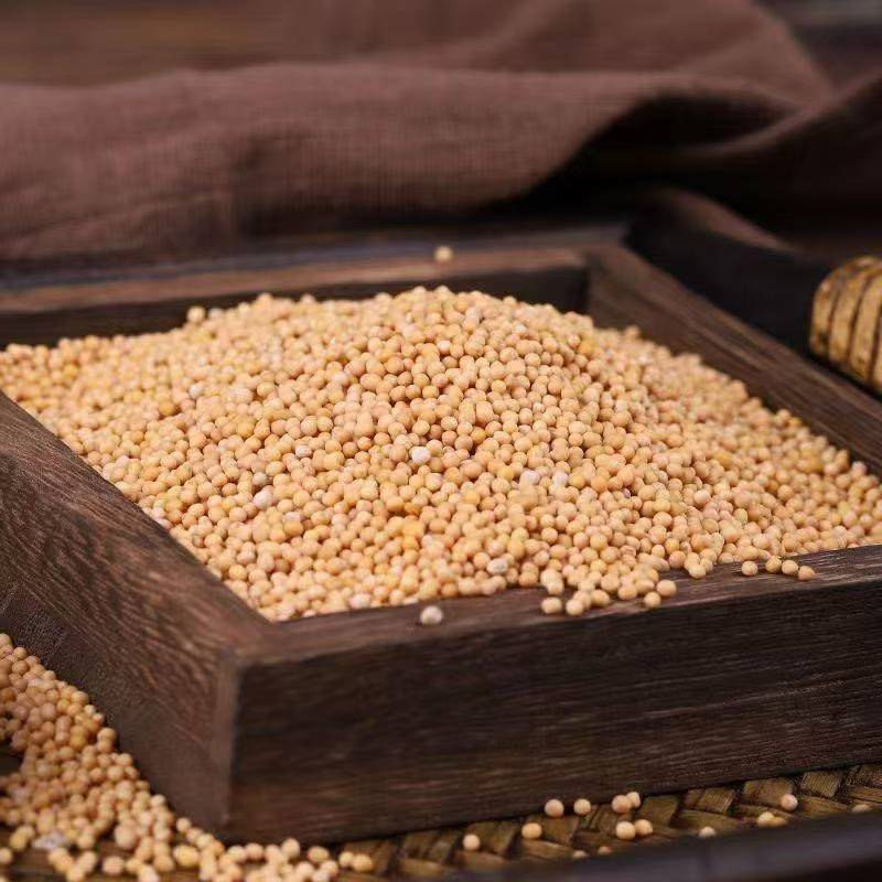 Bai Jie Zi (Sinicu White Mustard Seed) — Dried Food Herb for Tea & Powder quality and texture