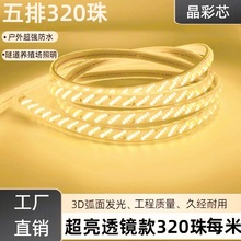 高压led灯带斜5排320珠超亮透镜防水工程户外内室照明防水灯条