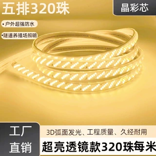 高压led灯带斜5排320珠超亮透镜防水工程户外内室照明防水灯条
