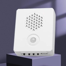 gӭRӭeБT⏼toБVNZʾ