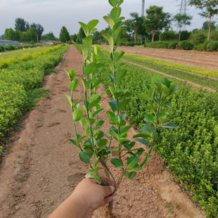 �z�|�lì�I�B���� С�^�G�������� ɫ�K�G�h�����l ���̾G����ľ