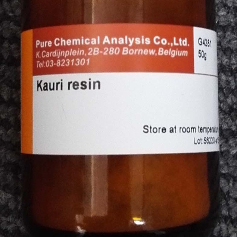 贝壳松脂 50G PCA