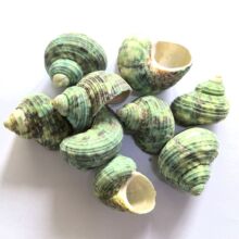 �ЌWؐ�����ݺ���ԭ�ϾG��DIYϞ�T�~��������΢���^�쾰 ��ˇƷ