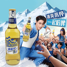 哈尔滨啤酒冰极纯生啤酒0糖清滑爽口批发厂家节日送礼啤酒