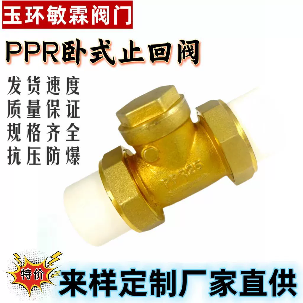 Обратный клапан PPR Латунь Обратный клапан двойная головка Двойной обратный клапан горячего расплава Обратный клапан Двойной обратный клапан Union