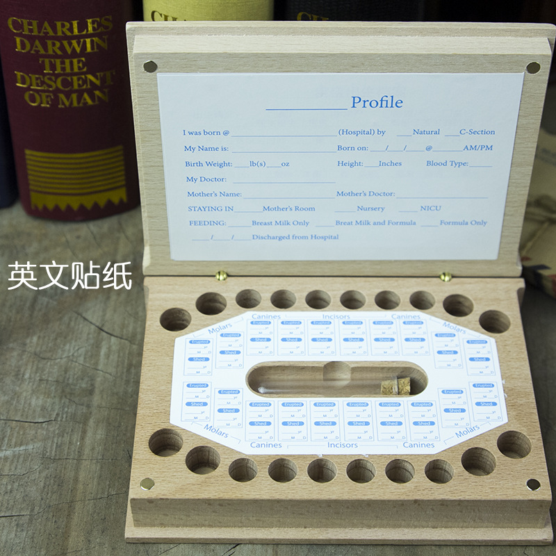 책 치과 상자 - 영어