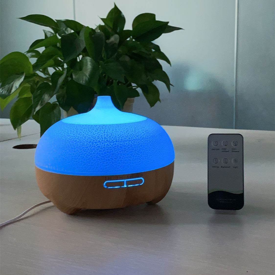 QQ图片20210224082928_副本