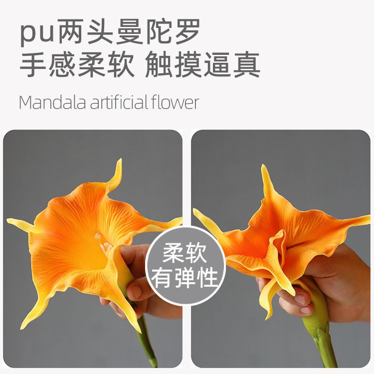 阿里曼陀罗 拷贝.jpg