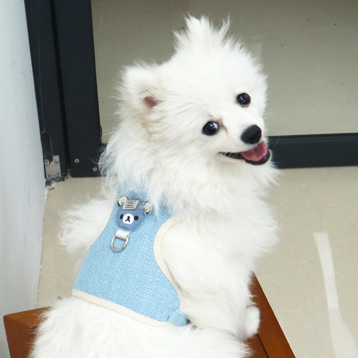 Cuerda de tracción para perros, perro pequeño, peluche, bichón, linda mascota, espalda, transpirable, cuerda de tracción para cachorros ajustable