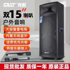 Sast/先科双15インチハイパワーロッド屋外広場ダンス充電音響録音広告舞台スピーカー