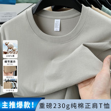 230���ذ����缃�޶���t����2025�ļ�����A�I��ɫ�ٴ�͸�����³�