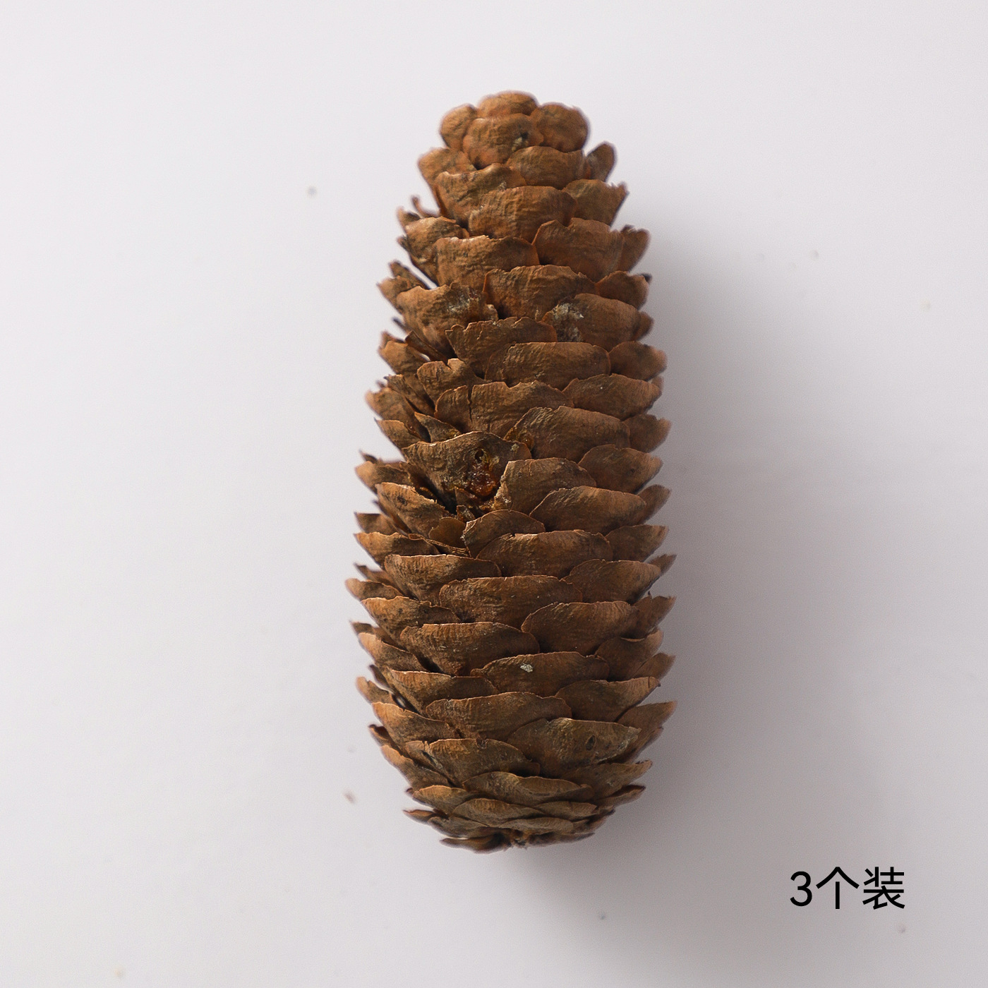 Sitio de Navidad de pinos de siete colores decoración paquete creativo de manzana material de decoración accesorios adornos embalaje de flores