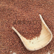 ���װl�ؘ��ٰ��^ɢ�b���^���ӂȰ�Ұ���ڰl������ɽ��о�����]