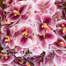�����m���滨���ֶY3D��ӡ�zƬ��Ʒ�|���^�b��L�η��»�Y