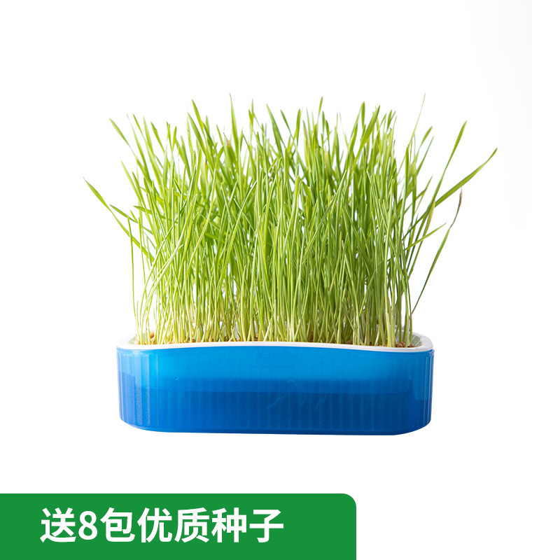 파란색(1상자 + 씨앗 8팩 포함)