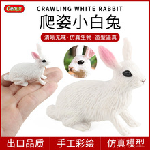 ��ͯ�����J֪���Ą���ģ����ߵ���[���ͻС���ü������ӶY��