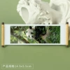 Panda 121