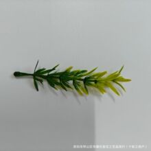 �������ϾGֲ���zˮ���b���DIY����ɭϵ�Ʒ�������Gֲ���