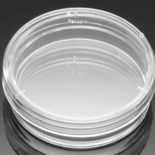 353002����falcon�������B��60&times;15mm1�䣨20/��25��/�䣩