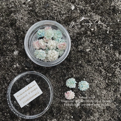 Japanese-style smint flower ball pile diamond nail art dried flower jewelry diy headdress earrings ring Time Gem series (Dırnaq bəzəkləri) - a-color-is-darker-than-pictured-please-do-not-purchase-if-this-is-a-concern-a-box-of-12