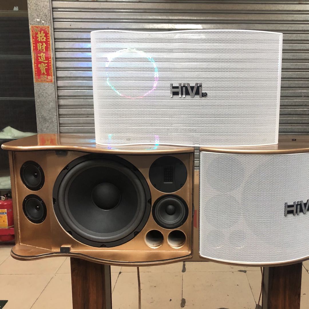 惠威HiVi音箱 美国单元12寸音箱B专业KTV 卡拉OK 专业音响 PX1000