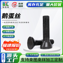 �ߏ��Ȱl���Z���z�r����˨ �E�A�^��˨ �����Z���ݽz�����V����˨