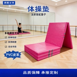 体操/运动垫;其他健身器材;健身路径