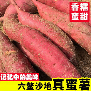 ɳ�ؼt�����r�F��ɽ�������ĵعϼt�ķ�������pʳ��ʳ���l