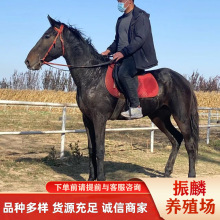 �����u�ɹ��R �������R�����X �����R�Z�õ��R�����RС�R�x