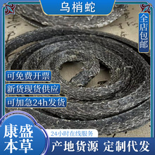 源头产地乌梢蛇批发包邮打粉  四川乌梢蛇江西乌梢蛇干中药材大全