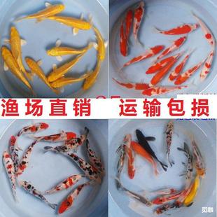 ��ˮ��ˮ�^�p�~������B�t�״�����ɫ�S�\���~�����~���~�~�����l