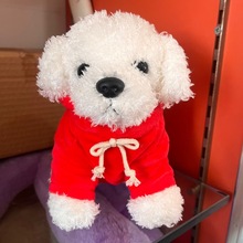 泰迪狗毛绒玩具公仔多种衣服颜色可爱海藻毛小狗布娃娃儿童玩偶