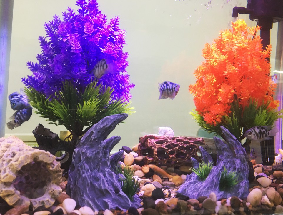 微信图片_2022072710