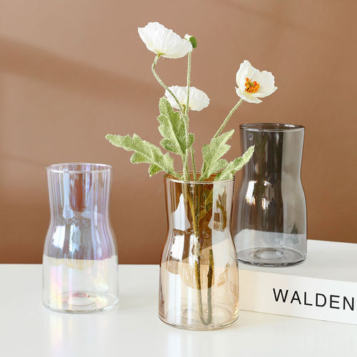 ins transparent colorful glass vase, simple flower arrangement, gradient wide-mouth crafts, fresh desktop decorations