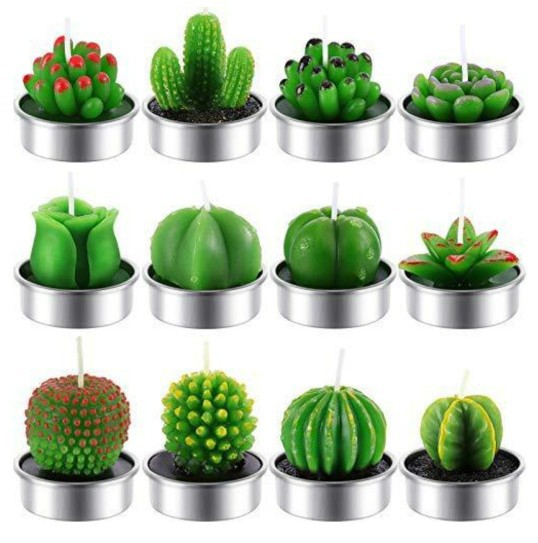 Nueva iluminación en caja vela simulación cactus flor vela planta suculenta vela Día de San Valentín té cera