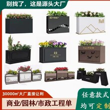 ���P䓻������M�ϸ����L�������⻨���Fˇ�����������؏S��