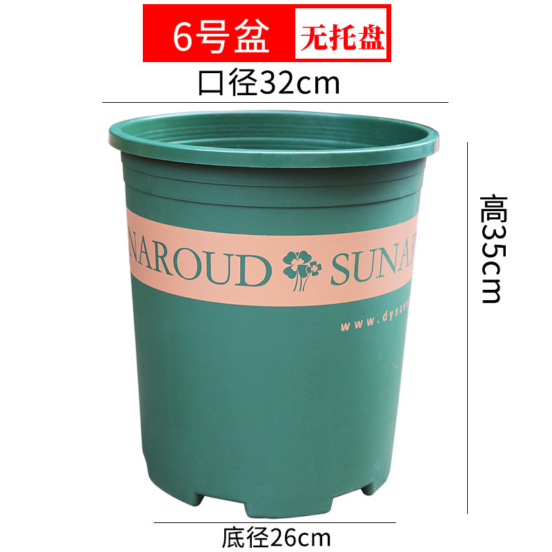 톨 그린 6갤런 [지름 31.7cm, 높이 30cm] / 트레이 없이