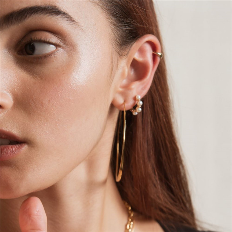 Fashion Geometric Sterling Silver Inlay Artificial Pearls Zircon Earrings 1 Pair