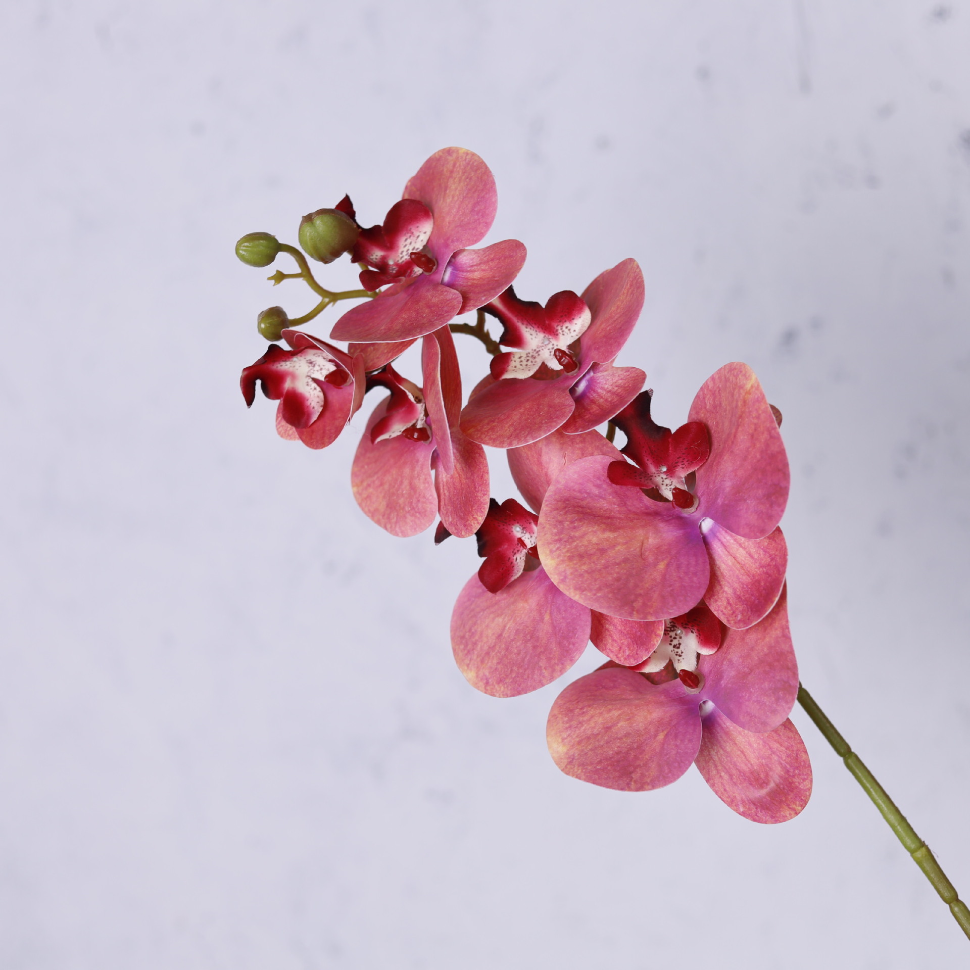 Impresión 3D de 7 cabezas de orquídeas mariposa flor de decoración de flores de alto nivel flor de nicho decoración floral decoración de sala de estar