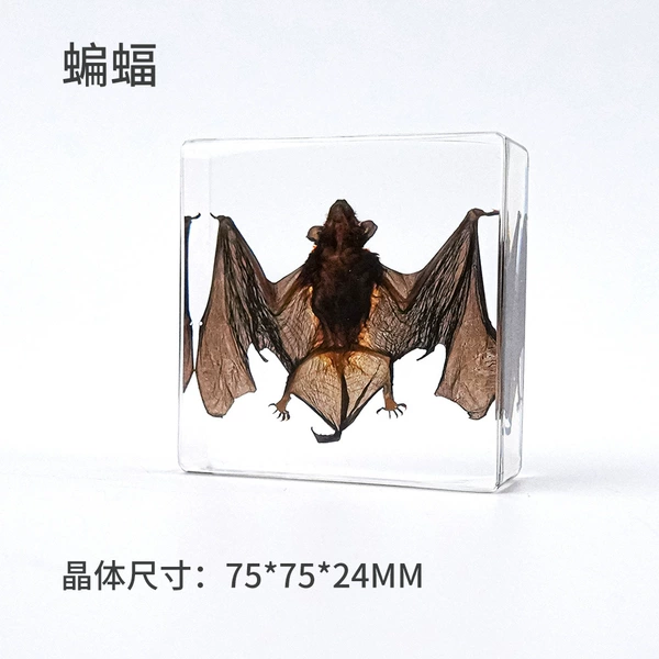 75*75*24MM (minimum batch of 30 pieces)