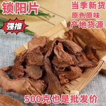 ��ș�����l�i�Ƭ �iꖂ������i��x؛�y؛�F؛��؛ ���l����