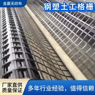 源头厂家钢塑土工格栅公路铁路稳固地基供应批发路基钢塑土工格栅