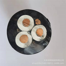 UGF �V��6000V3*25+1*16mm&sup2;�߉�늙C�Դ��