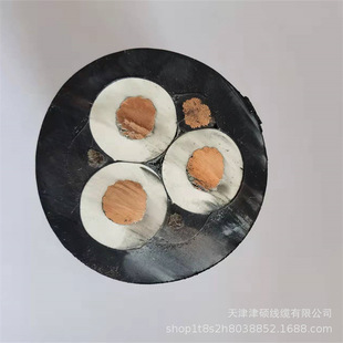 UGF �V��6000V3*25+1*16mm&sup2;�߉�늙C�Դ��