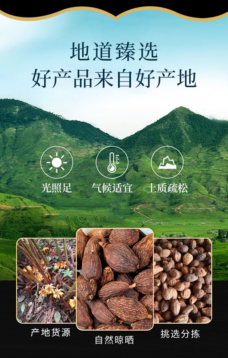 Cao Guo (Amomum tsaoko) — Dried Tsaoko Fruit & Powder, Aromatic Culinary Spice overview