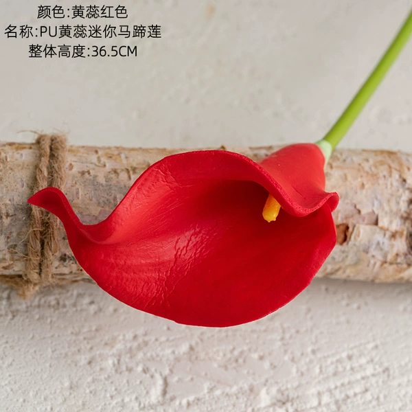 Huang Rui red